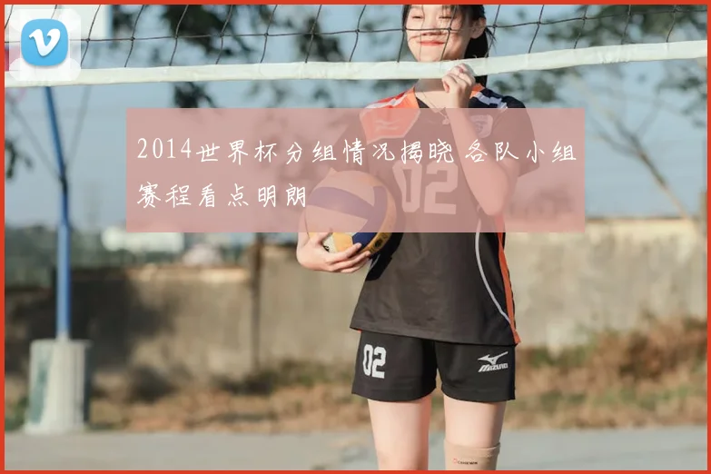 2014世界杯分组情况揭晓 各队小组赛程看点明朗